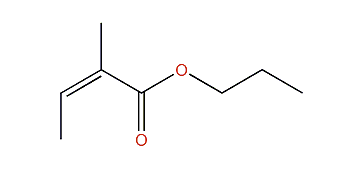 Propyl (Z)-2-methyl-2-butenoate